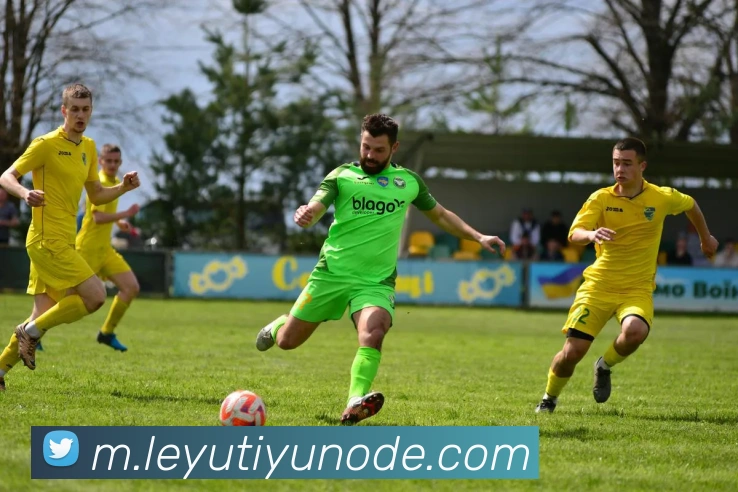 乐鱼体育平台生态图