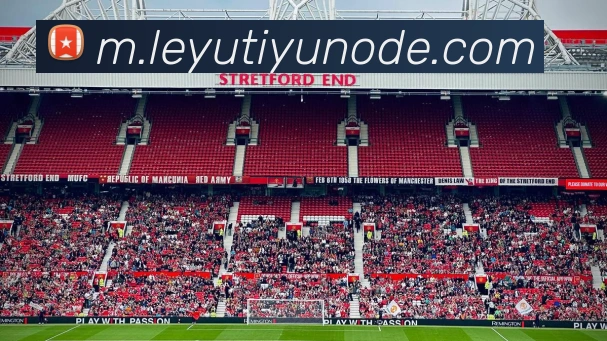 乐鱼体育APP 封面图