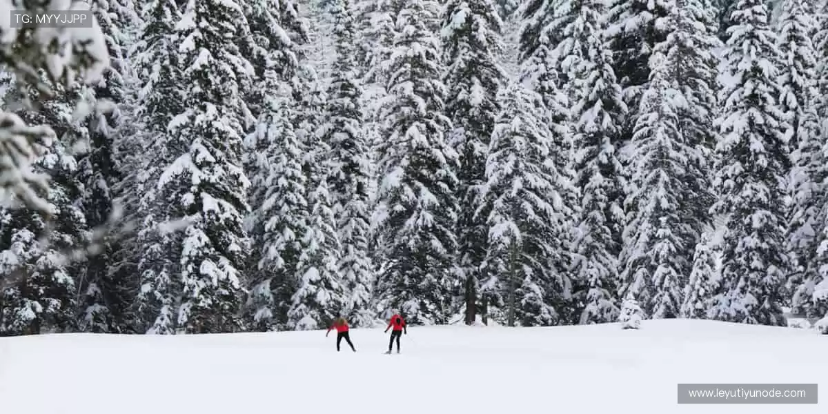 点燃赛场激情,见证荣耀时刻!🏆🔥