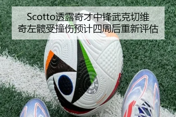Scotto透露奇才中锋武克切维奇左髋受撞伤预计四周后重新评估 - leyu